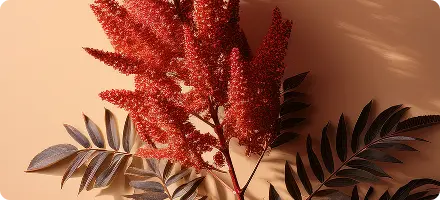 Sumac Plant Extract